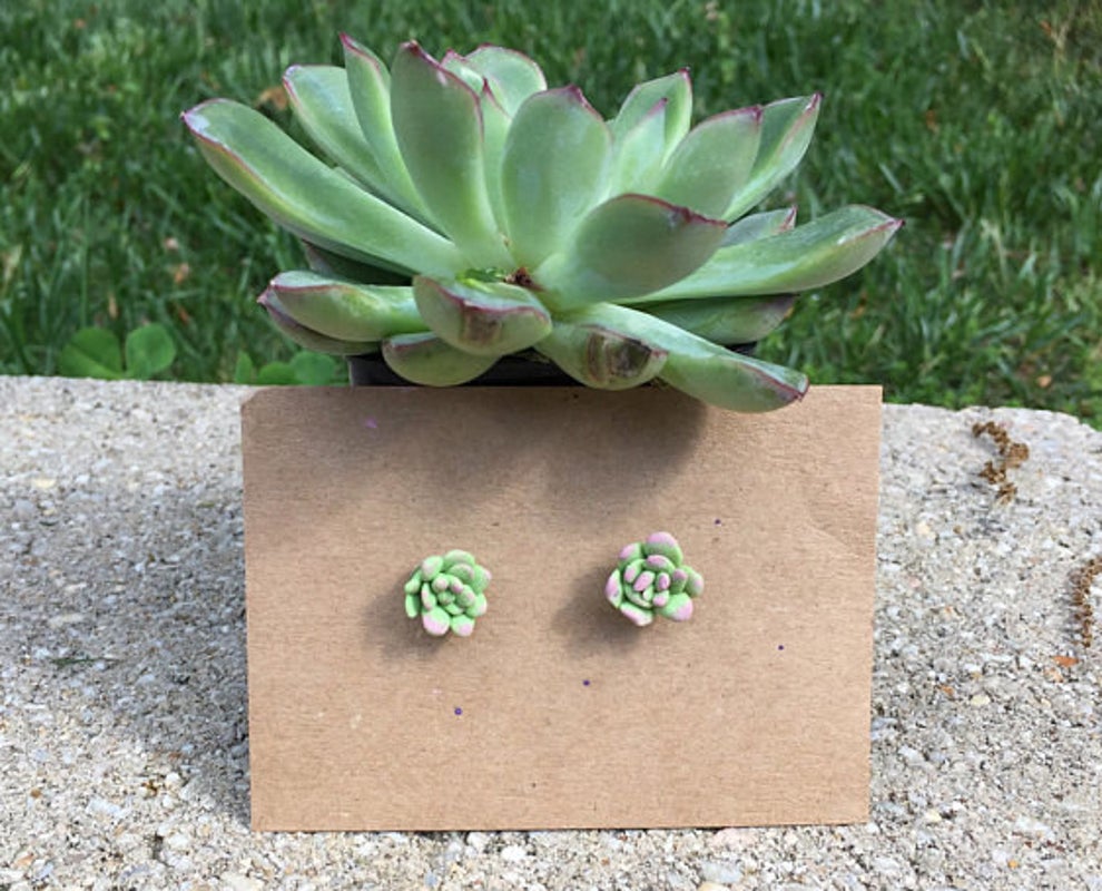Cactus Green Plant Flower Succulent Desert Cartoon Polymer Clay Pop Art Earrings 